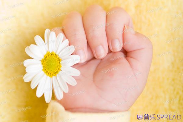 35岁后，飞泰国冻卵还来得及吗？一位助孕顾问的深夜坦白