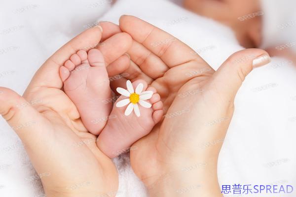 当国内冻卵被拒-你的生育时钟如何重启