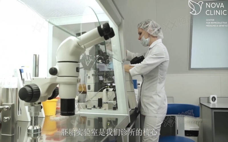 当法律按下暂停键-你的生育时钟如何悄悄绕过那条红线