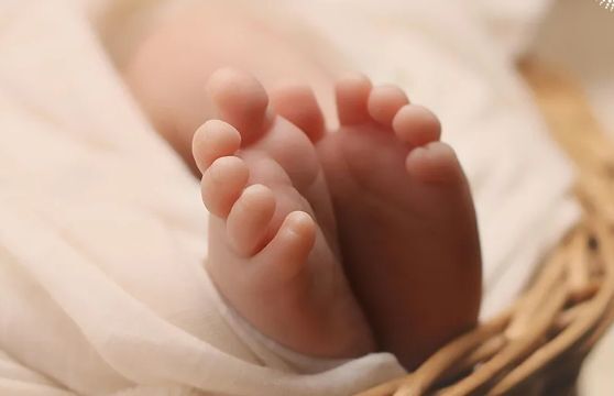 冷冻时光的钥匙-单身女性海外冻卵预算精算-含汇率-保险妙招
