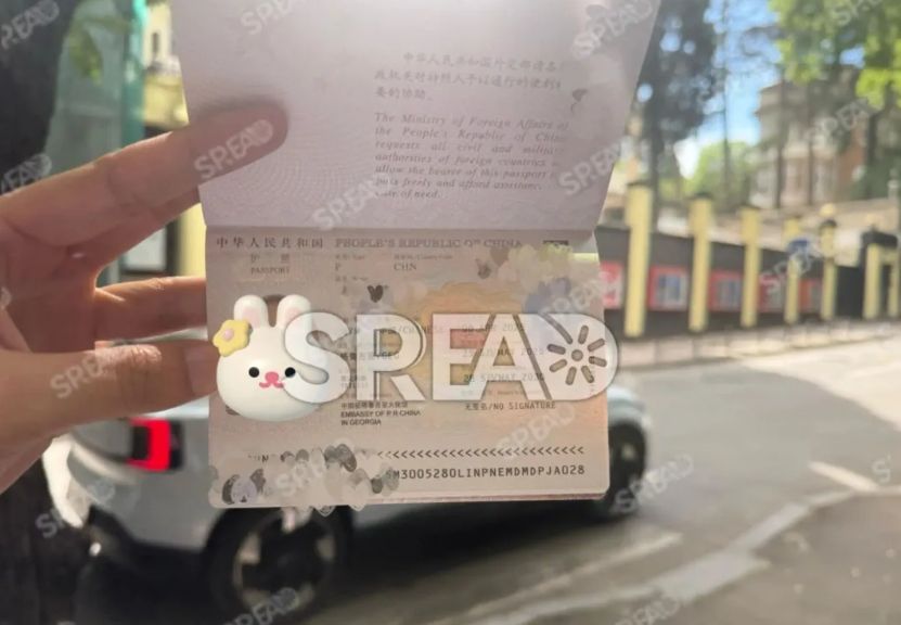 39岁那年-我的冻卵在液氮罐里-哭-了-海外冻卵鲜有人知的复苏真相