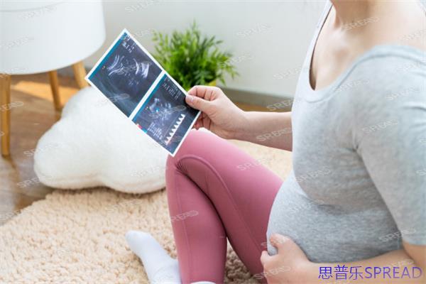 冷冻卵子-你的生育保险单-真的只能锁在抽屉里吗