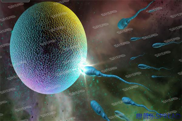 冻了卵子真能等十年？我亲眼见过有人算错这笔时间账