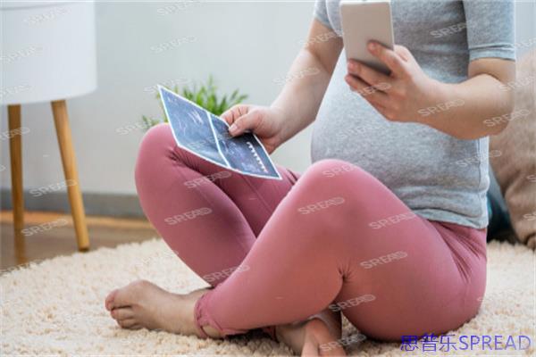 冻卵犯法吗?35岁那年我在诊所门口哭了半小时