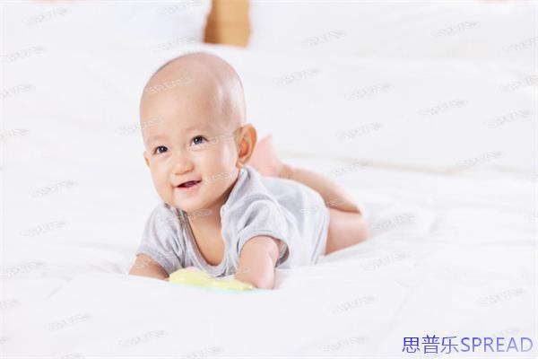 冻卵难题-红色公章下的未来-我该藏去哪里
