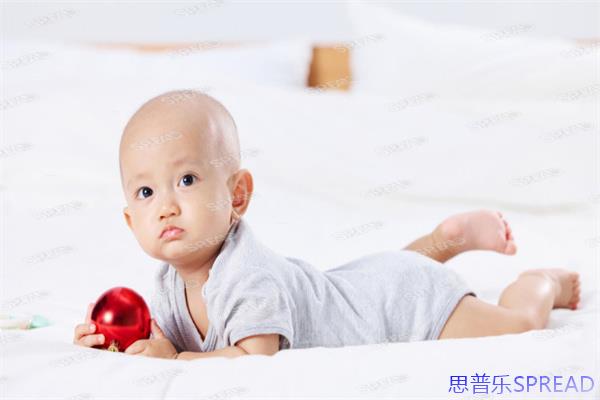 冻卵要花一套房-揭秘2025年全球冷冻卵子真实费用
