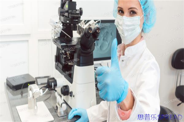 35岁单身女性如何破解生育困境-2025全球冻卵政策避坑指南