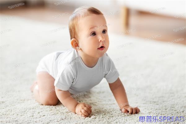 冻卵费用地图-36岁单身女高管翻遍卫健委文件后-深夜拨通的越洋电话