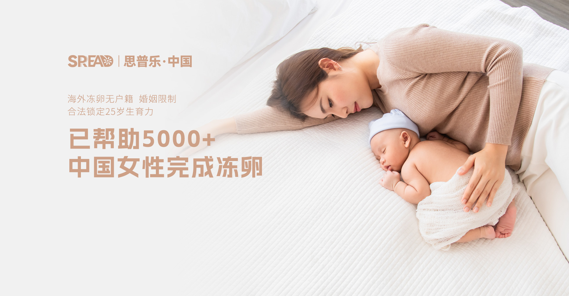 思普乐冻卵