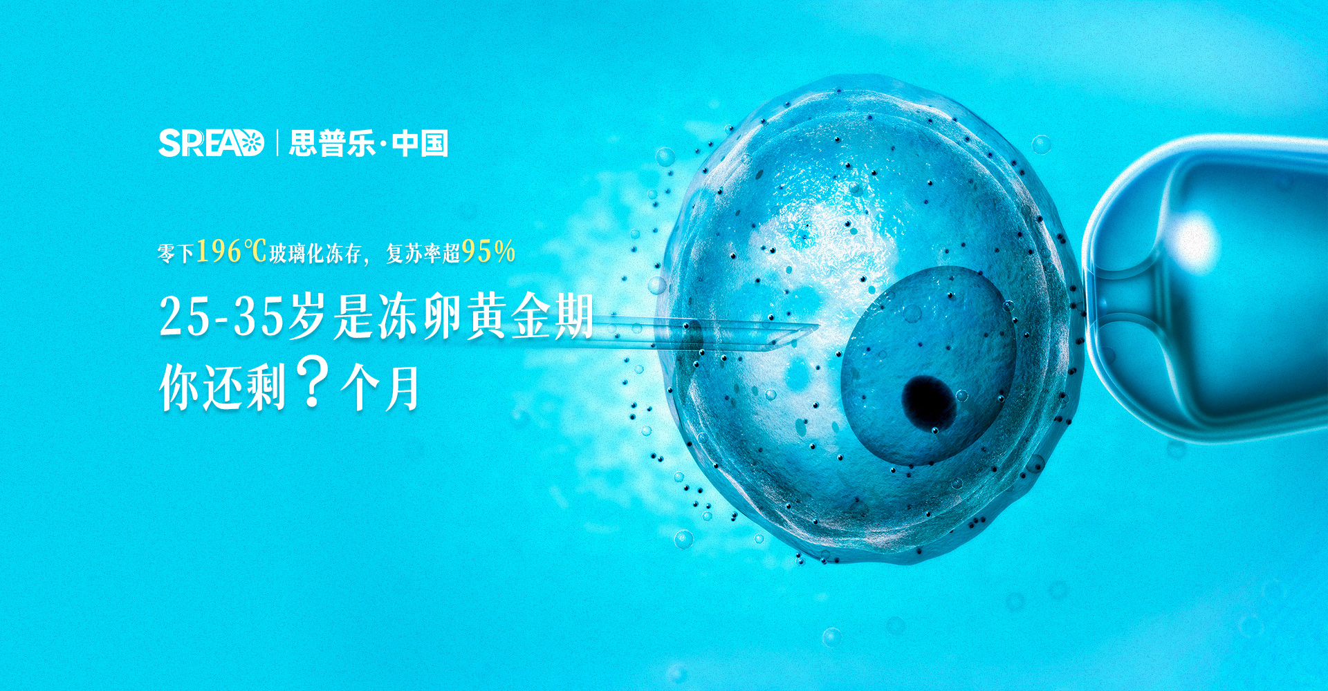 思普乐海外冻卵