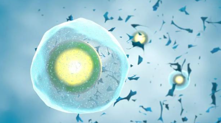 冻卵黄金期自测：这3类女性越早行动，生育力保存成功率越高！